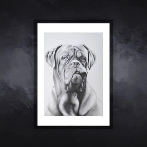 chien01-tableau-figuratif-animaux-virginie-ayala